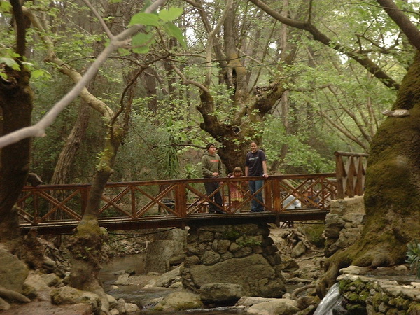 Seven 7 Springs Rhodes